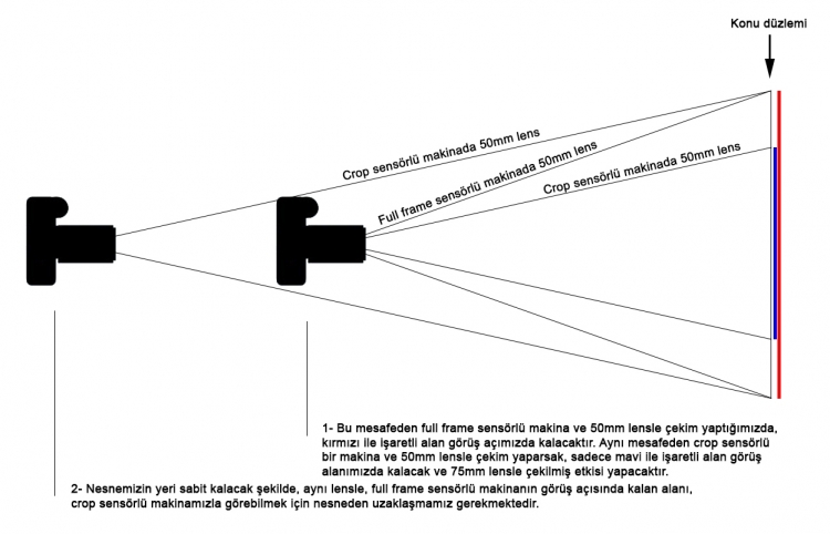 Fullvsapsc-3-Nikon.thumb.jpg.28bea33db0860af7234e3bf1bb2b5f9b.jpg