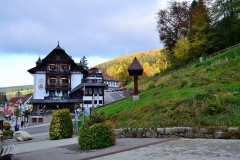 More information about "Triberg"