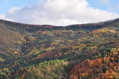 Kastamonu / ŞENPAZAR Doğanın Renklerle Ahengi