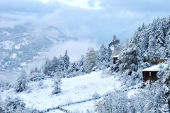 Kastamonu ŞENPAZAR GÜNEYTEKKE