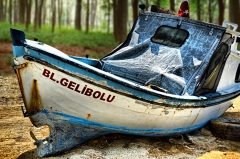 Gelibolu