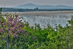 Golyazi.2 - Uluabat Lake