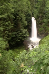 Gelintülü Şelalesi.Rize-Ayder