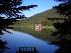 BOLU-GÖLCÜK