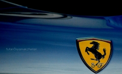 Ferrari Amblem