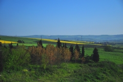 Silivri'ye bahar geldi.