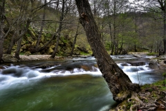 Cehennem Şelaleleri (Giriş)