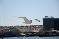 kadıköy