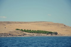 Ayvalık Adalar
