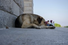 Çanakkale Şehitler Abidesinin Gölgesinde