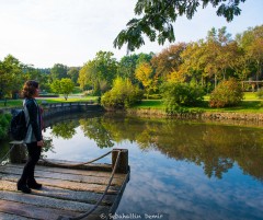 İstanbul Belgrad Ormanı