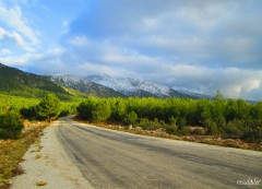 Muğla