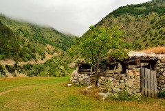 Sisli yayla