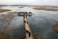 Efteni Gölü - Düzce