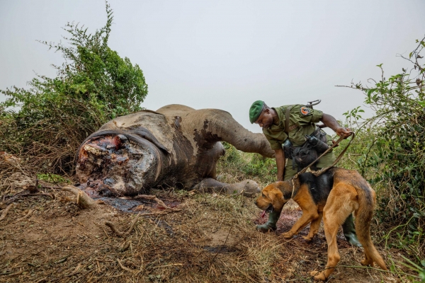 More information about "National Geographic 2016 fotoğrafları"