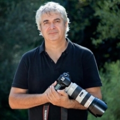 Serdar AYDIN